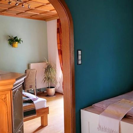 Colourful 2.5 Bedroom With Large Balcony & Garden. Prinzersdorf Экстерьер фото