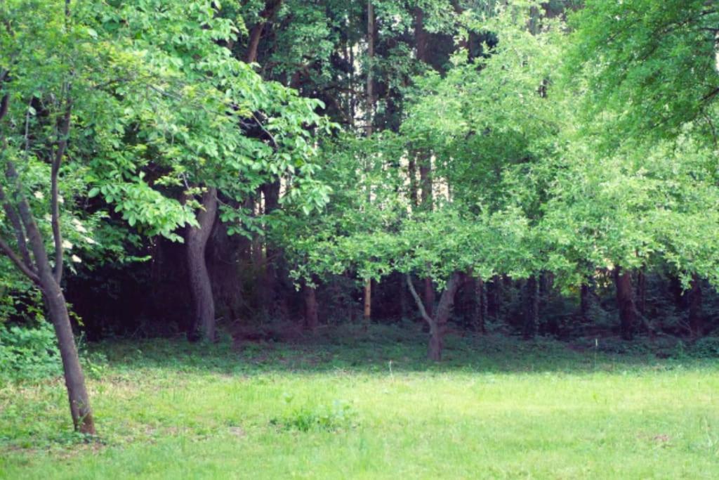 Colourful 2.5 Bedroom With Large Balcony & Garden. Prinzersdorf Экстерьер фото